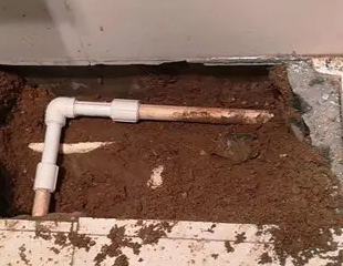 东昌府测漏水哪家好