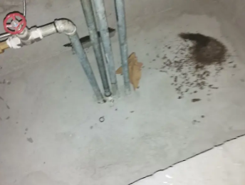 东昌府卫生间测漏水价格明细