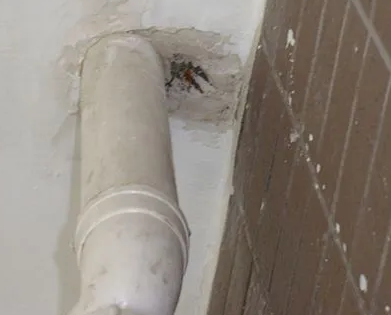 东昌府漏水检测哪家好